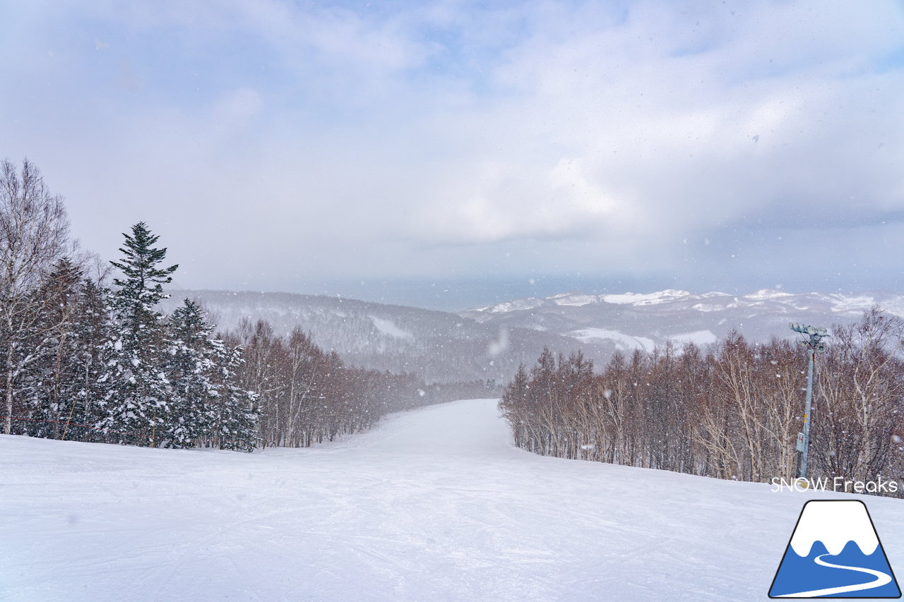 小樽天狗山スキー場｜積雪160cm！例年以上の積雪量でゲレンデはコンディションは最高です！ただいま『天狗山の雪あかり』も開催中(^_-)-☆